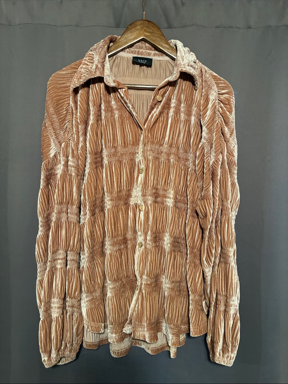 Vici Crinkled Velvet Button-Down Shirt in Dusty Rose